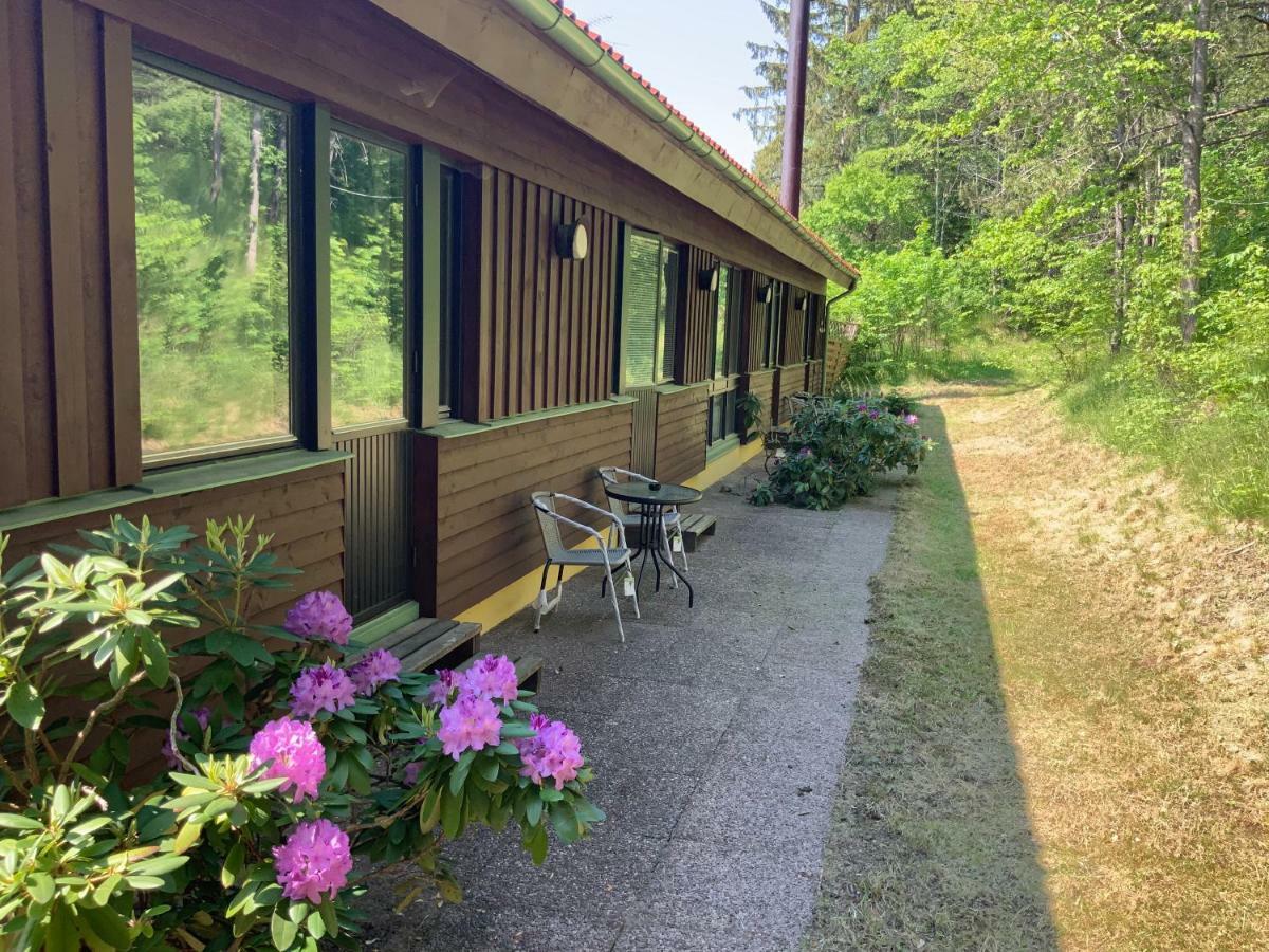 Skogsvikens Hotell Kolmården Esterno foto